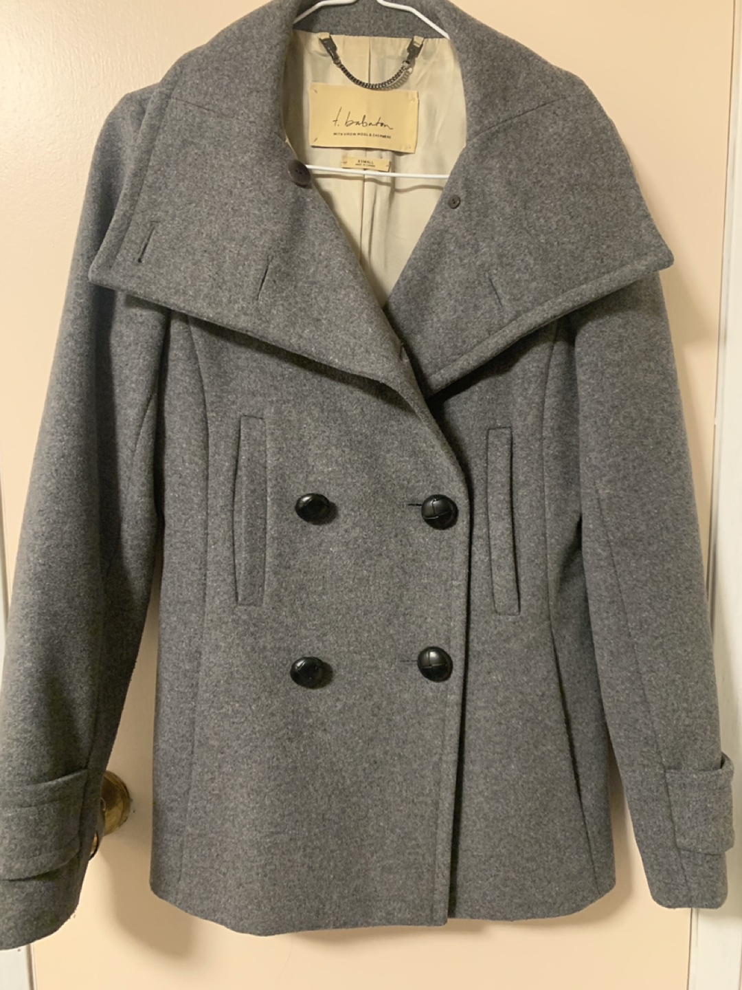 Aritzia Winter coat