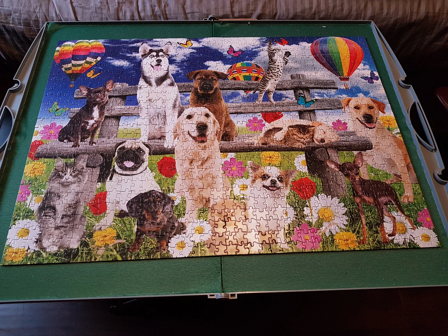 PAWS PARTY IN THE PARK PUZZLE🧩🏈 image indicator(2)