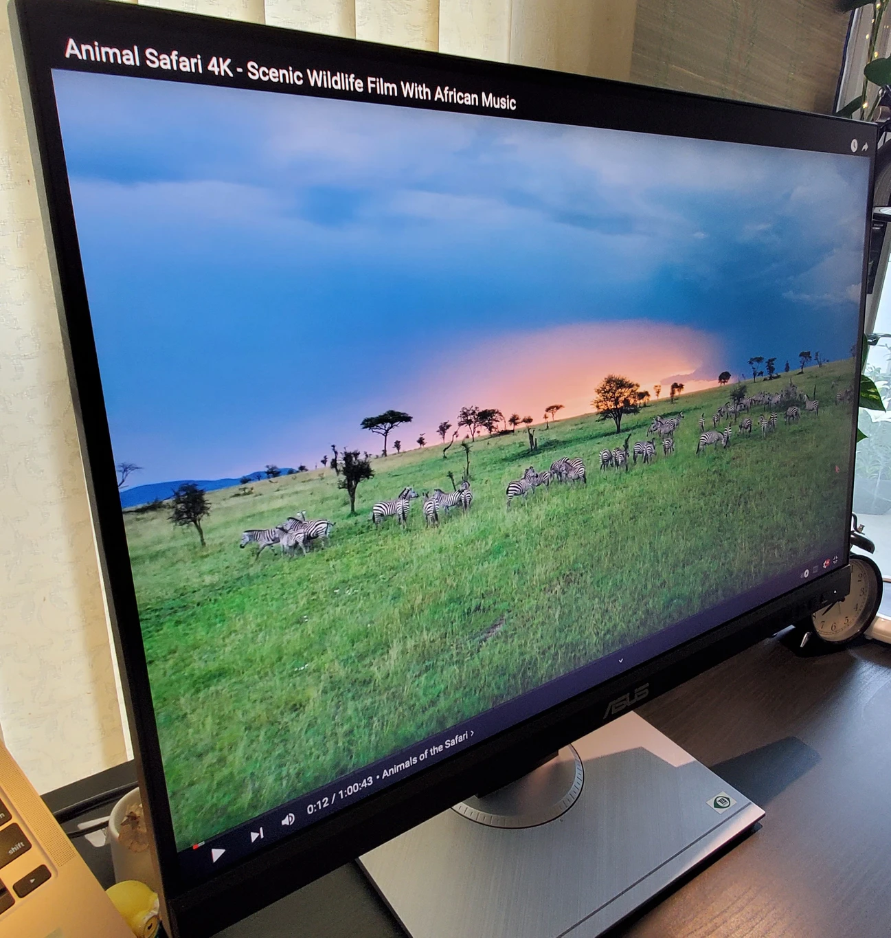 Asus Studio Grade Proart 24 inch Monitor