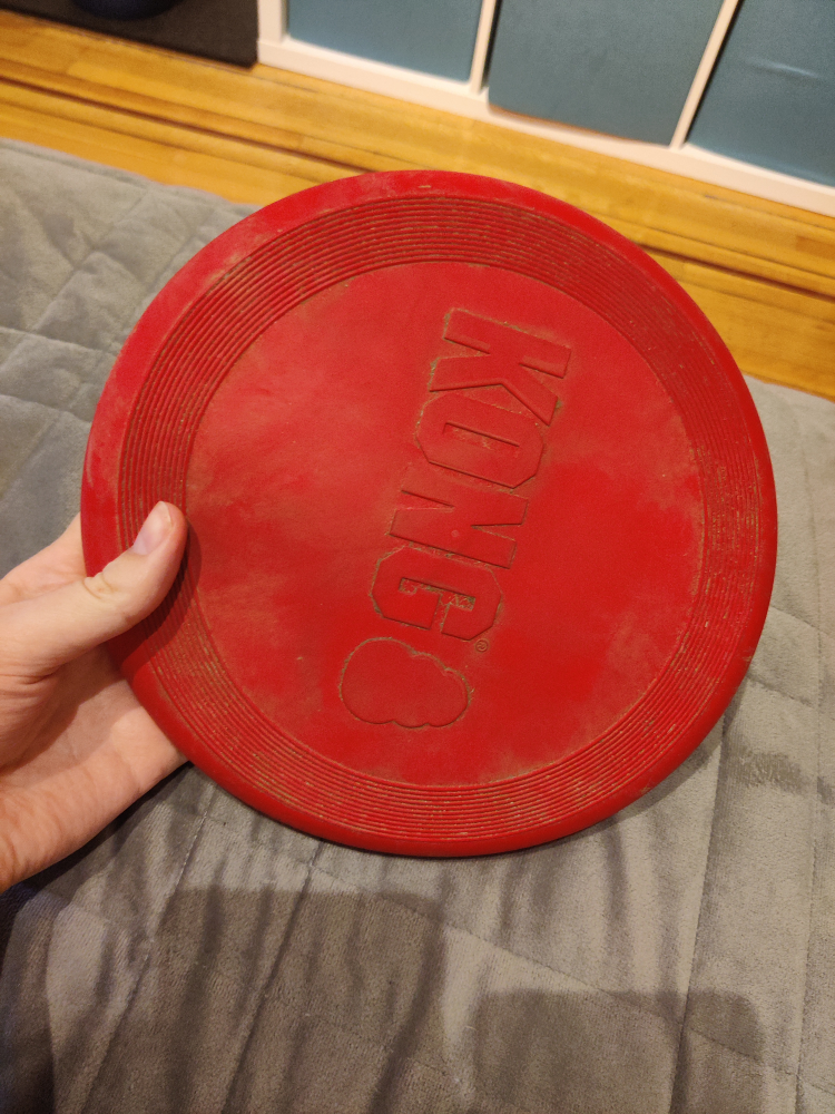 Kong Rubber Dog Frisbee thumbnail