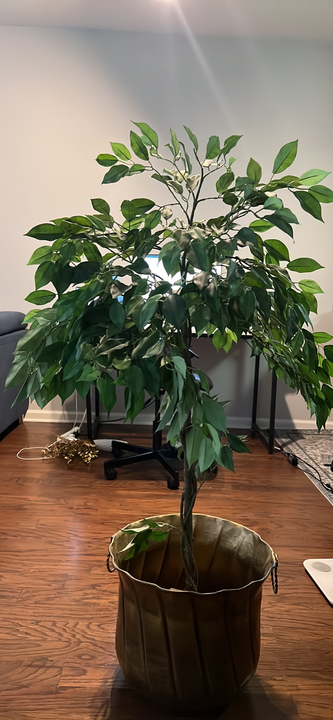 Faux plant with golden pot