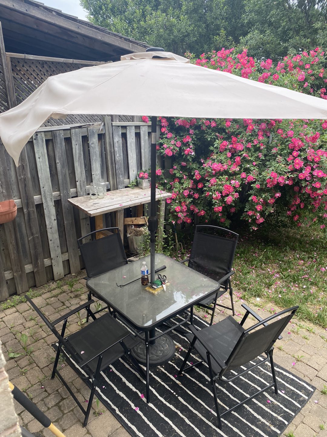 Backyard set thumbnail