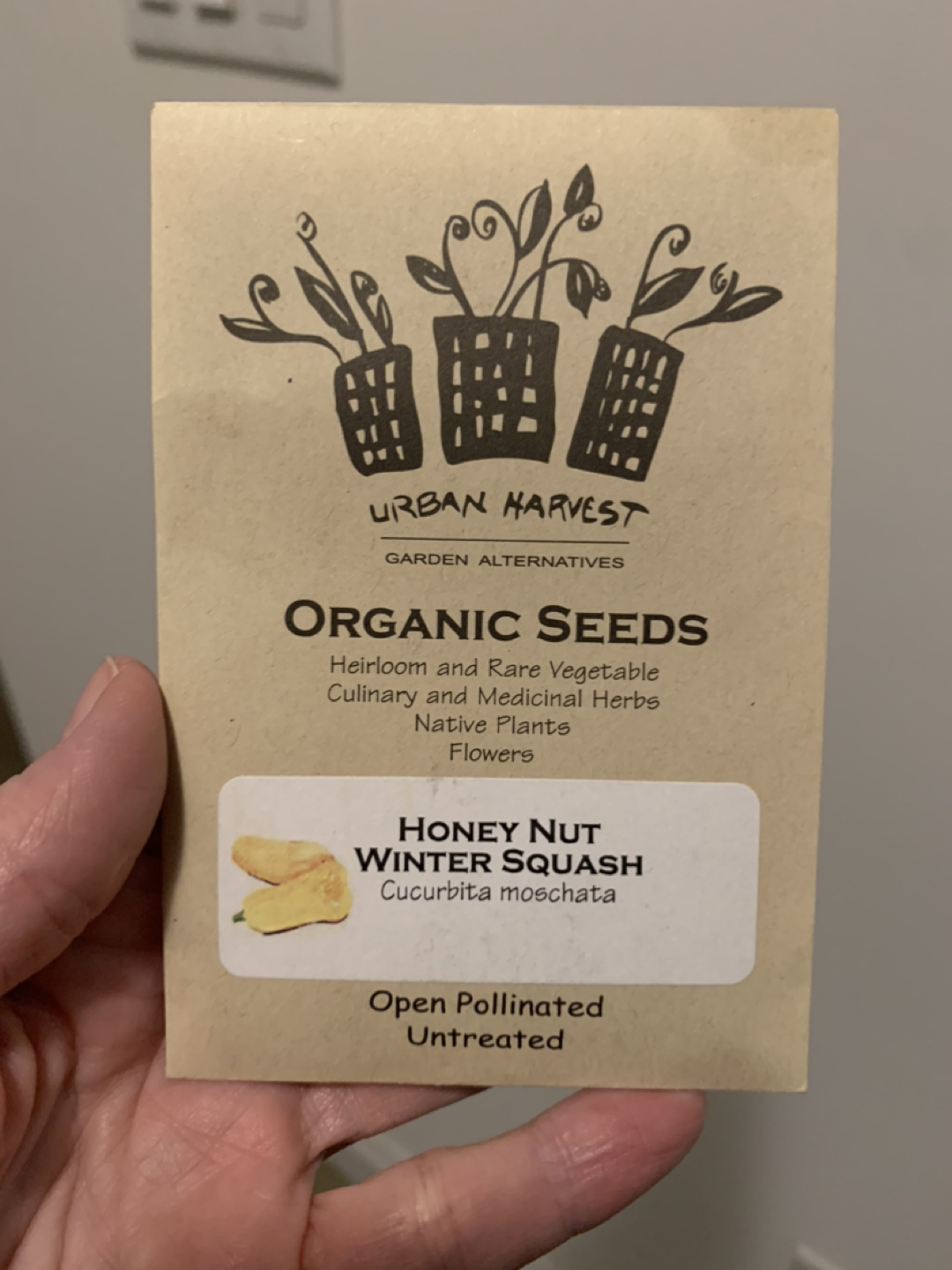 Urban Harvest organic seed packet - Honey Nut Winter Squash thumbnail