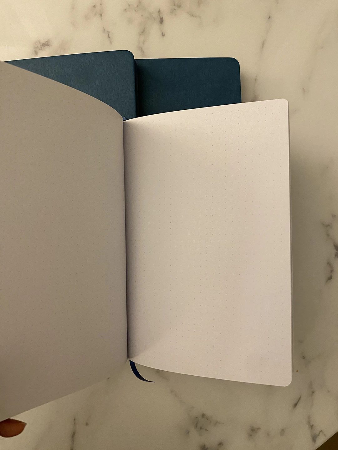 Free blank journals - photo 3