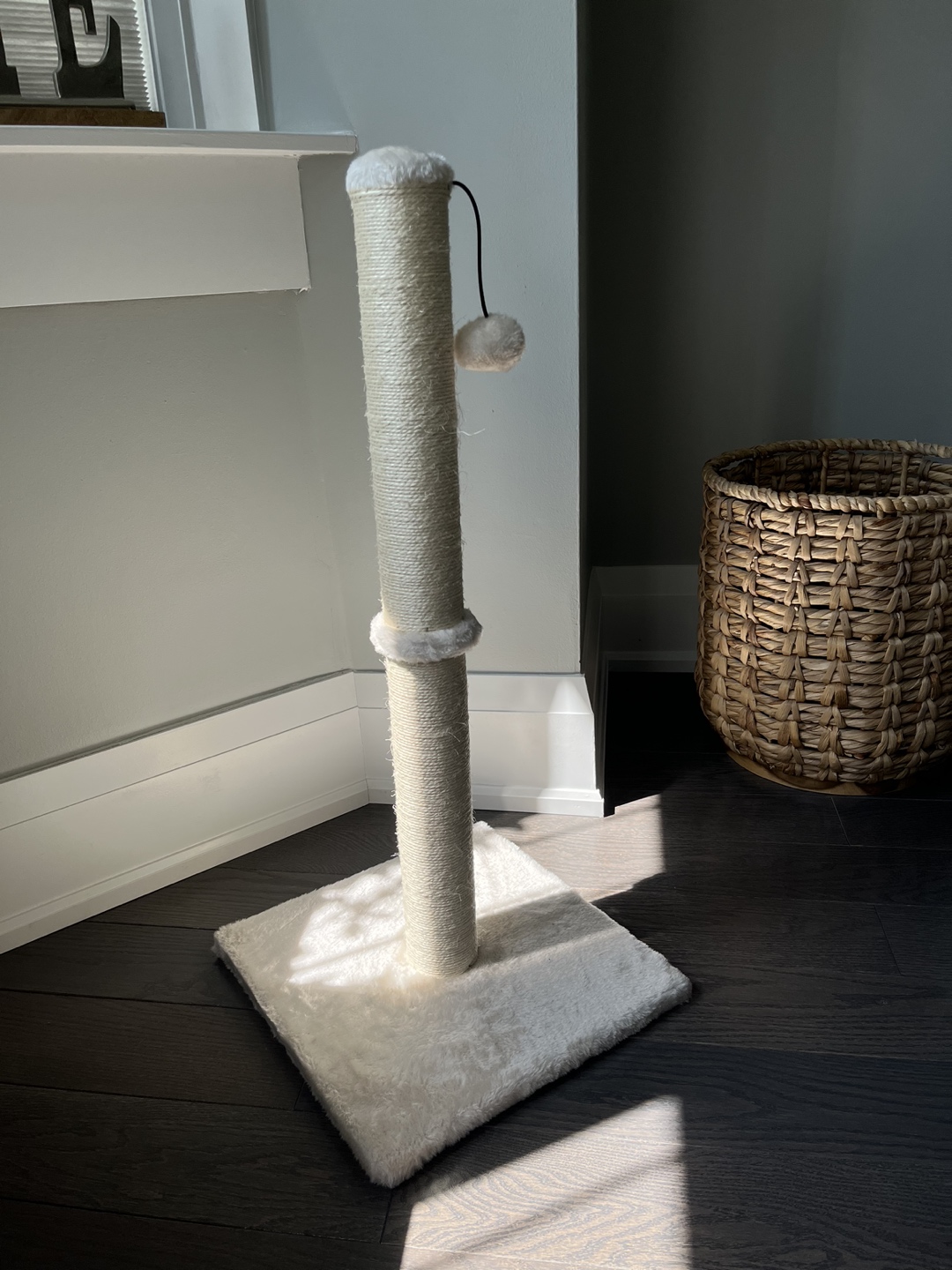 a cat scratcher(brand new-never used) thumbnail