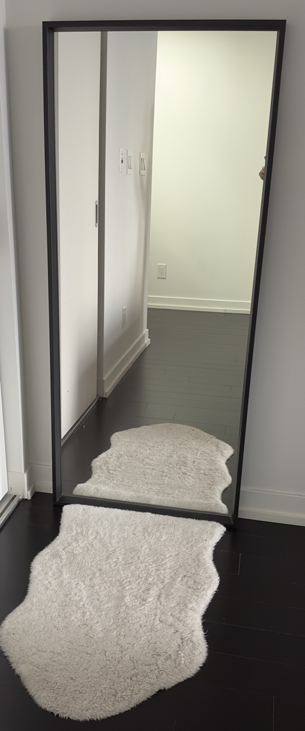 Mirror and rug