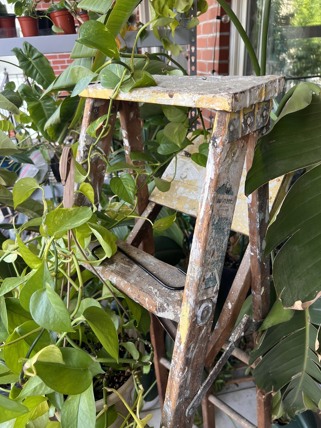 Wooden ladder - photo 5