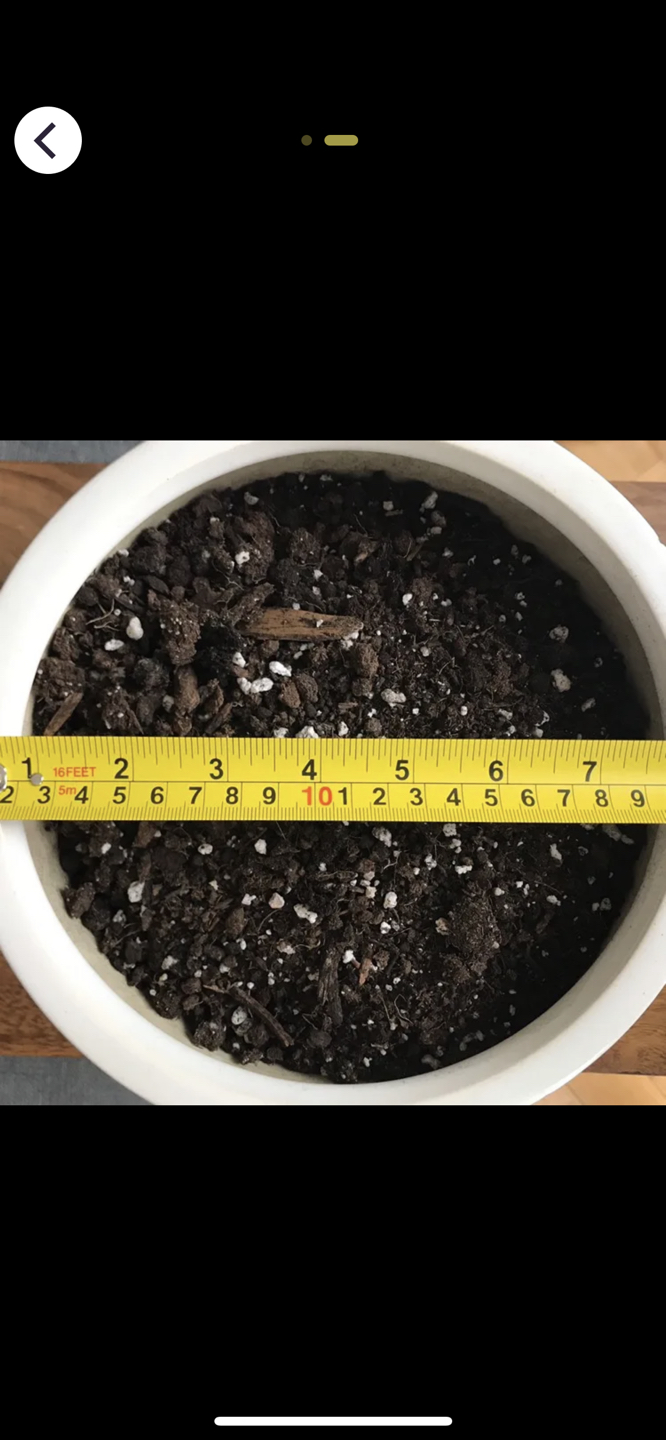 Ceramic pot image indicator(2)