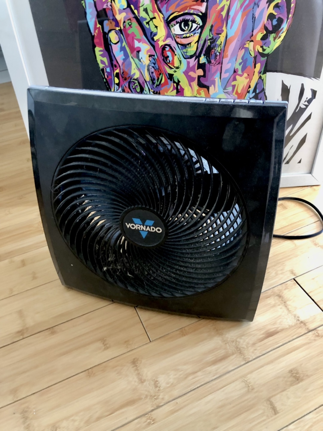 Vornado Mini Fan
