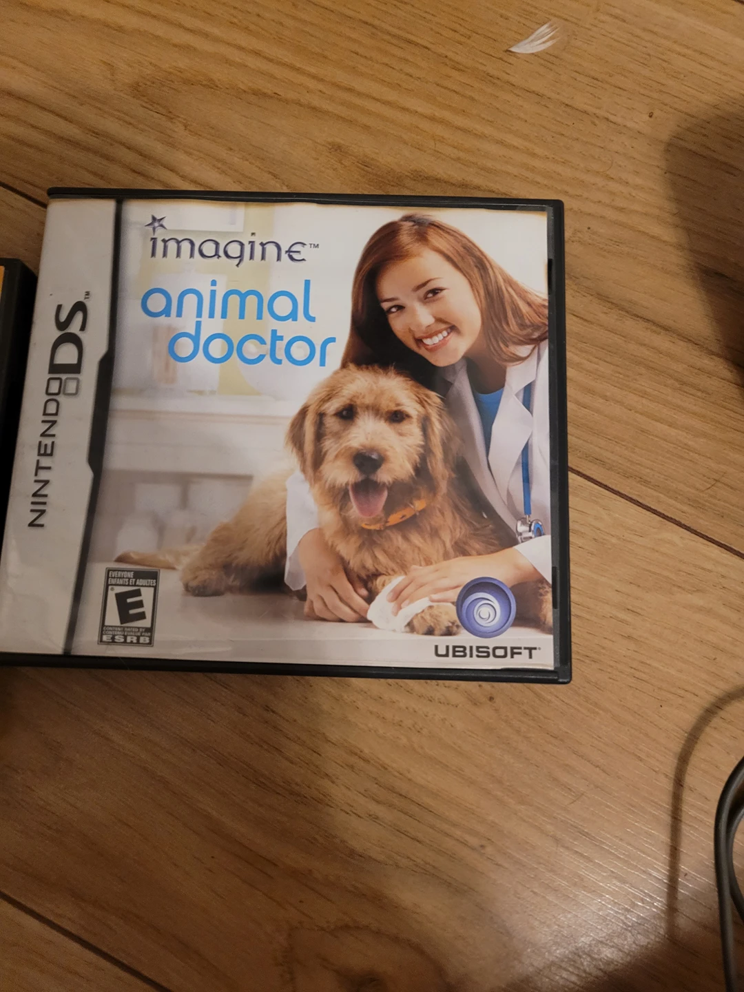 Nintendo DS image indicator(7)