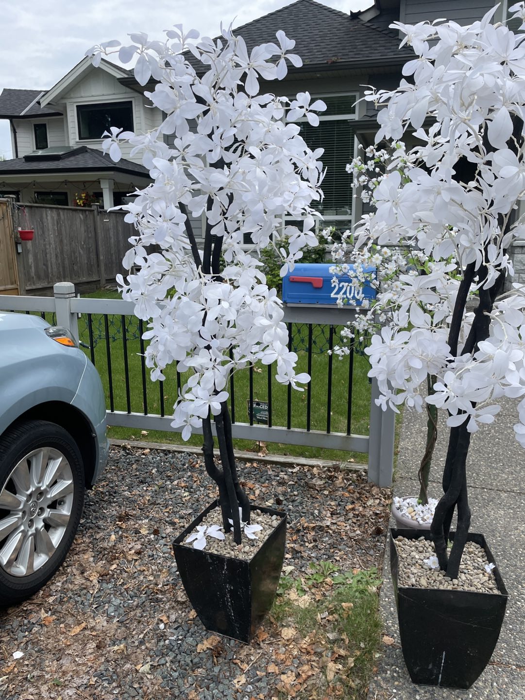 Silk flower tree thumbnail