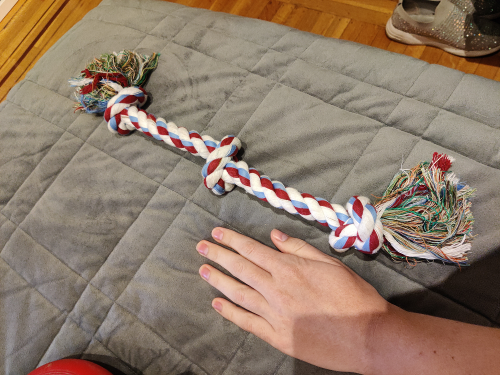 Dog Rope Toy thumbnail
