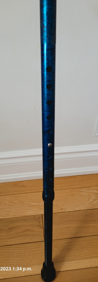 Walking cane  - photo 2