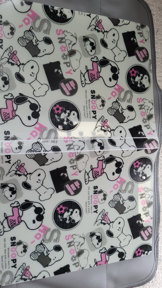 Binder - 1"  soopy