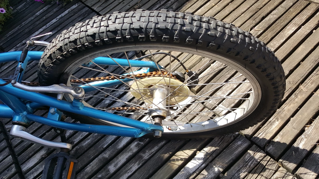 20" Mountain Bike image indicator(5)