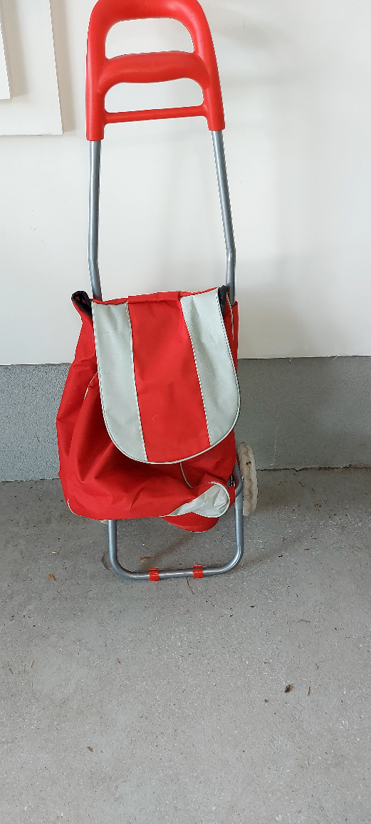 shopping trolley bag thumbnail