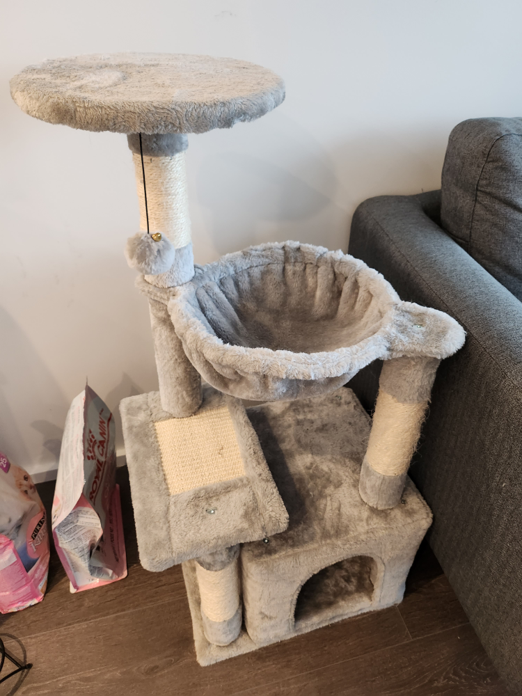 cat tower