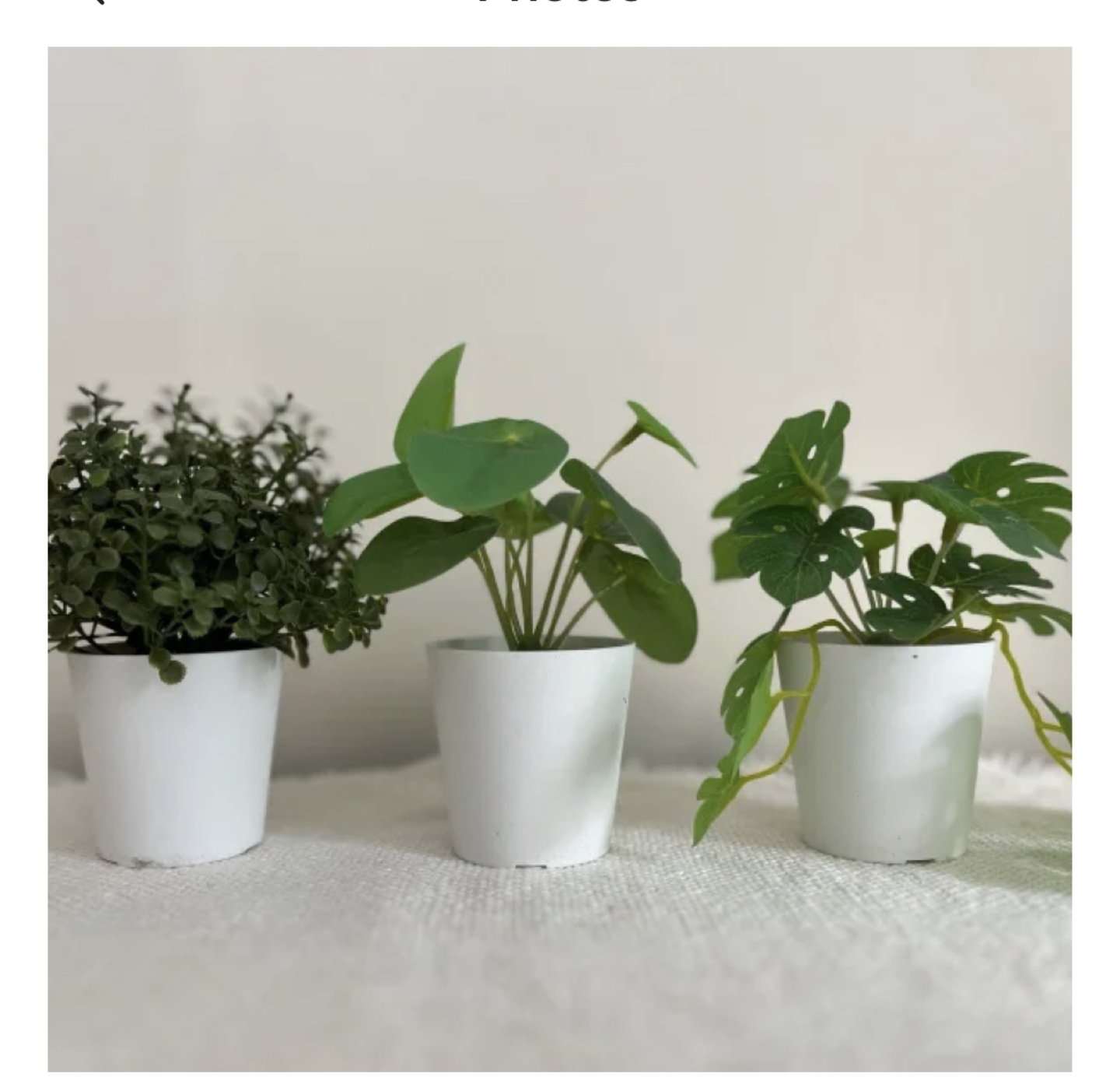 Fake plant set of three