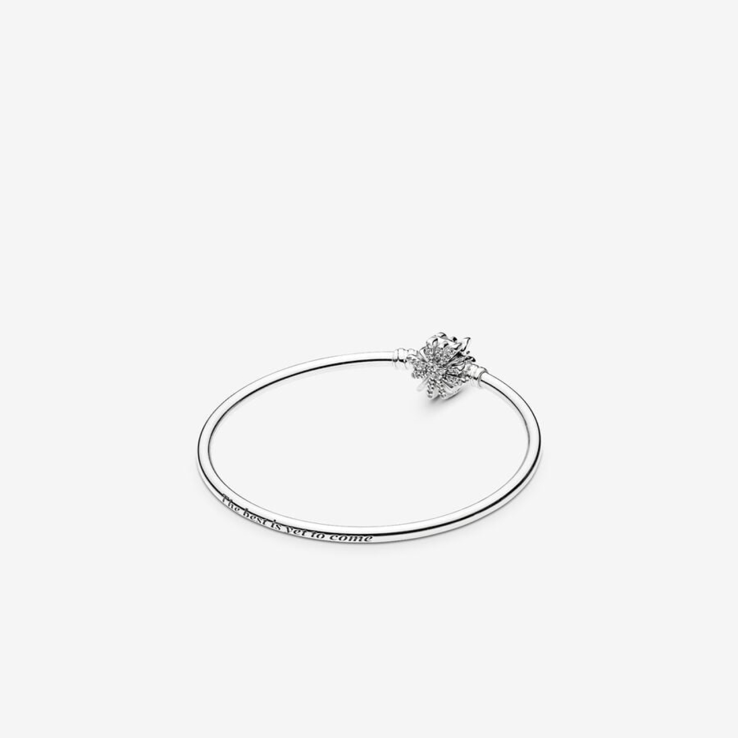 PANDORA Moments silver bangle
