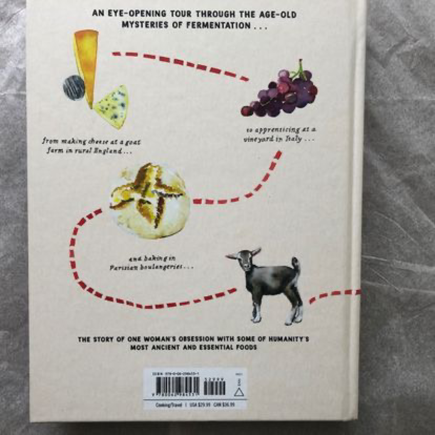 💰 Cheese, Wine, and Bread by Katie Quinn image indicator(2)