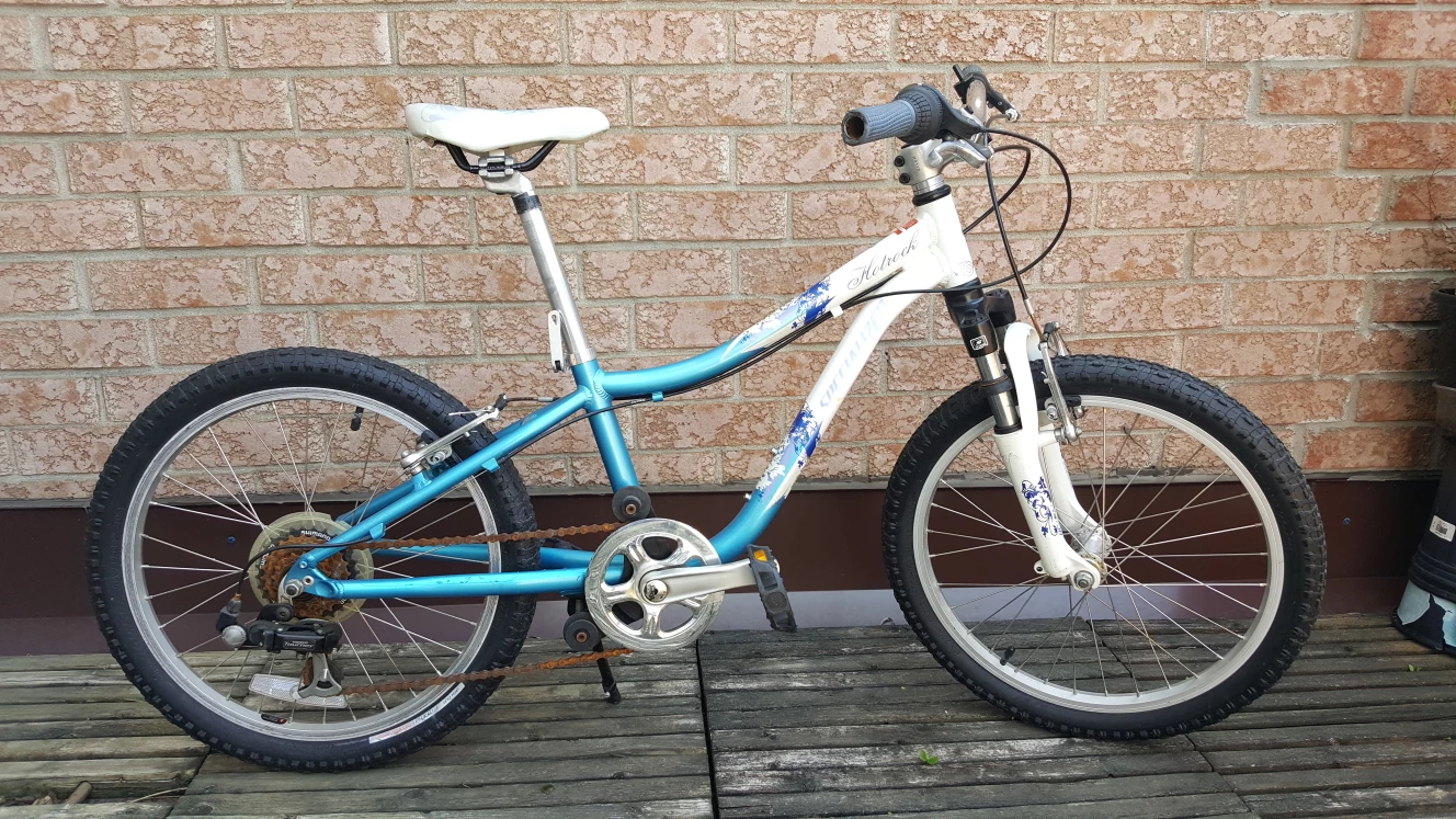 20" Mountain Bike image indicator(3)