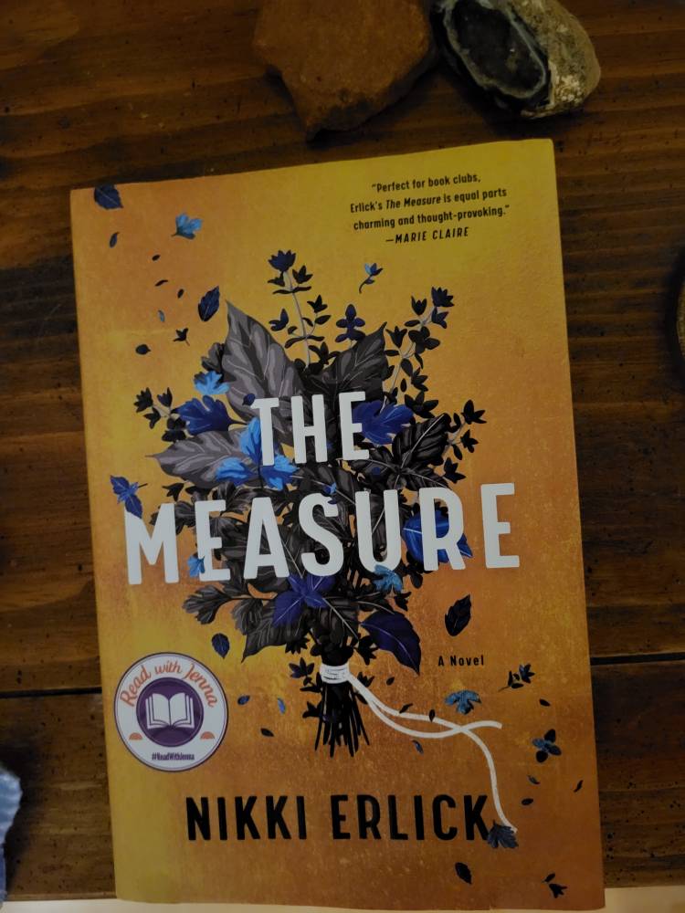The Measure - Nikki Erlick (hardcover)