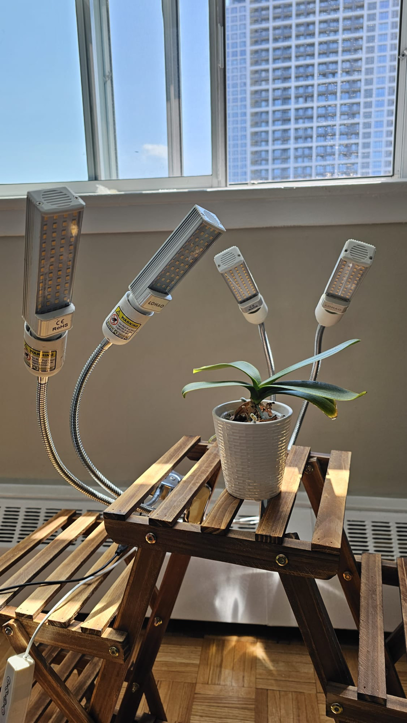 LED grow light for indoor plants - photo 3