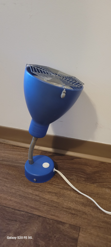 lamp  (with removable spider web design)