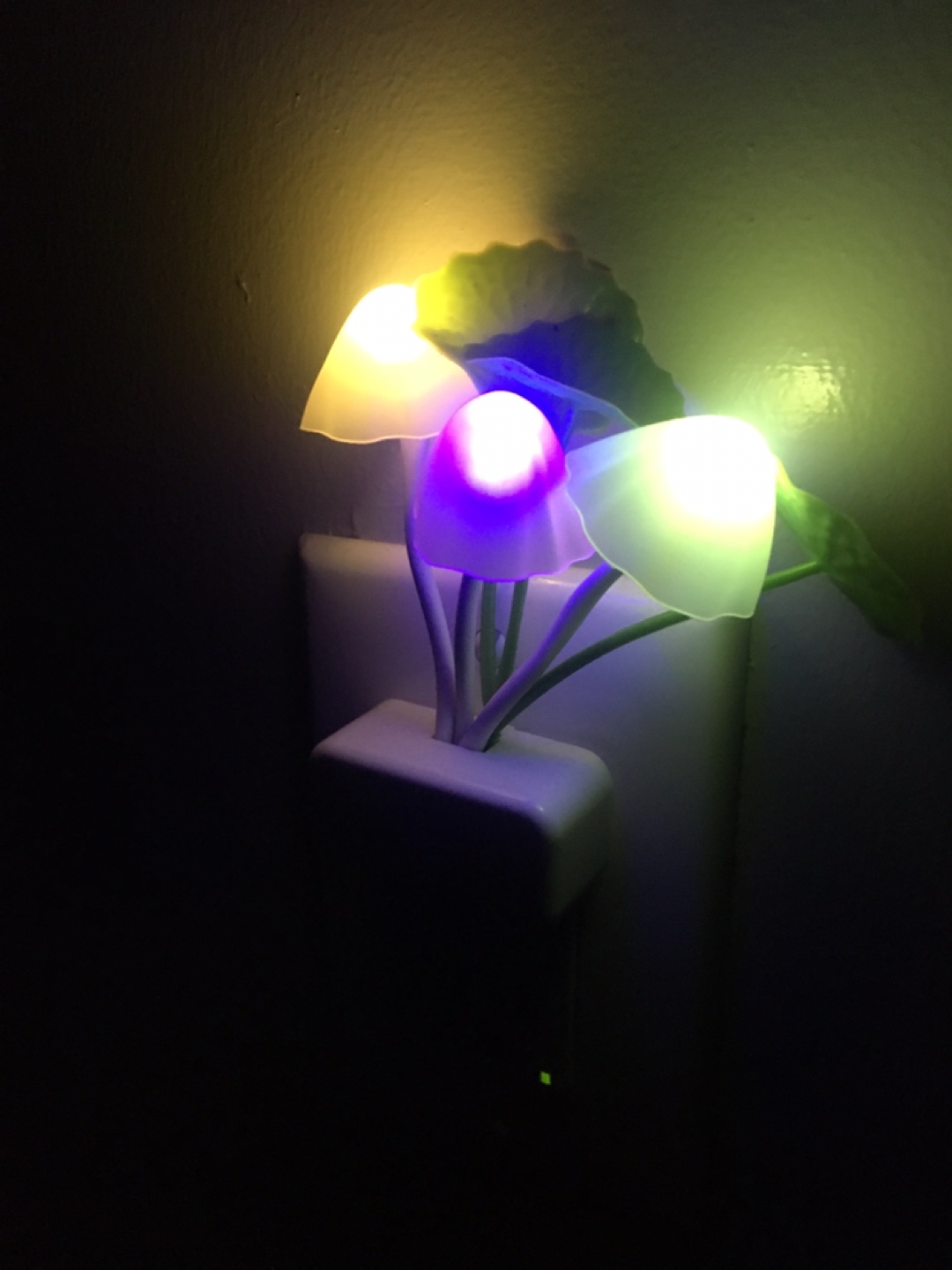 night light, mushroom lamp