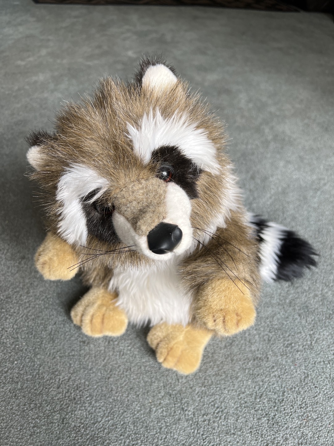 #freecycle  toy raccoon
