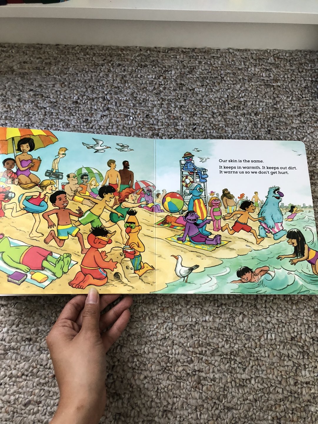 Sesame Street Boardbook - photo 5