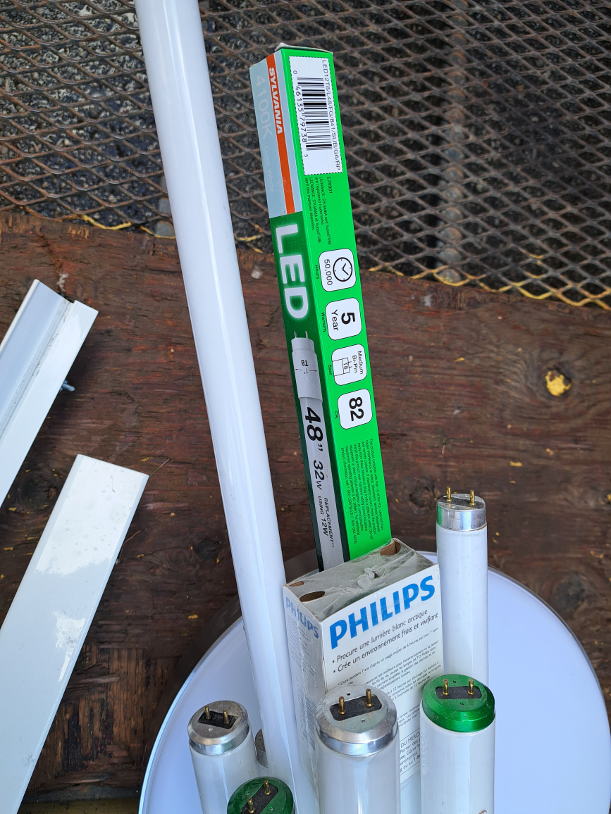 long light bulbs - photo 2