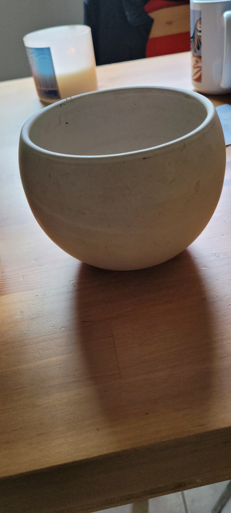 marantaceae plant and vase - photo 2