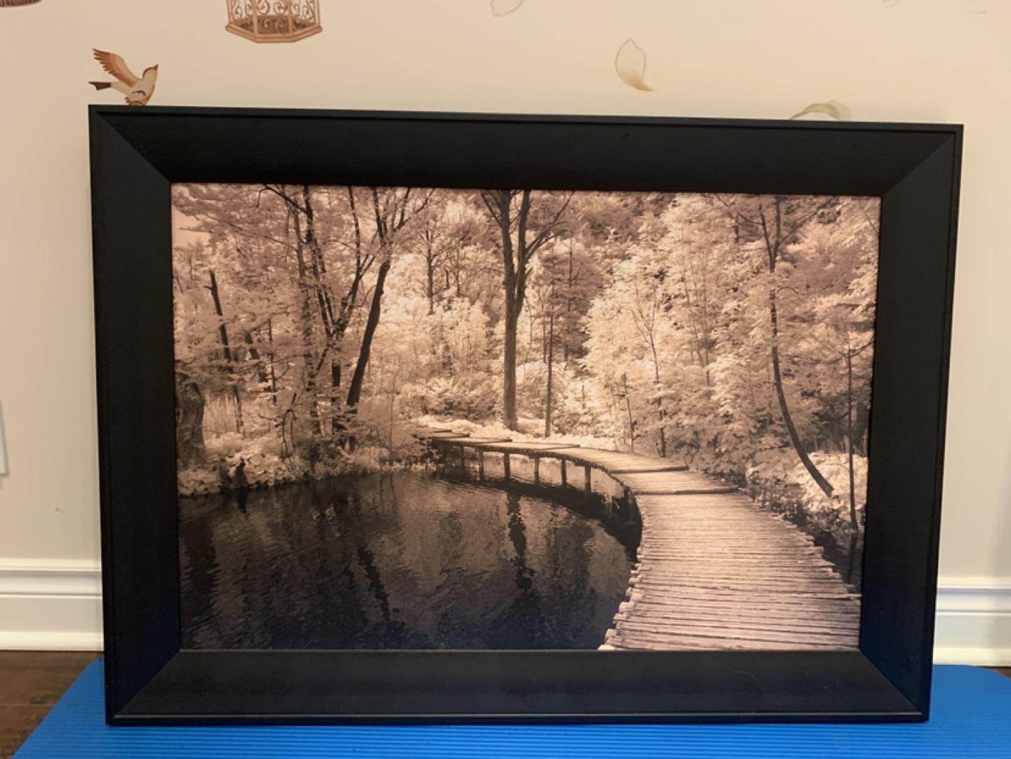 Two beautiful Picture and Frames image indicator(4)