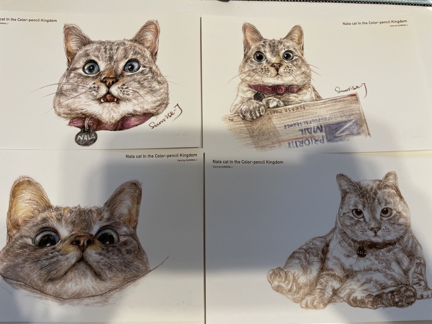 Cats postcards_ 1 dollar for 2 pieces image indicator(4)