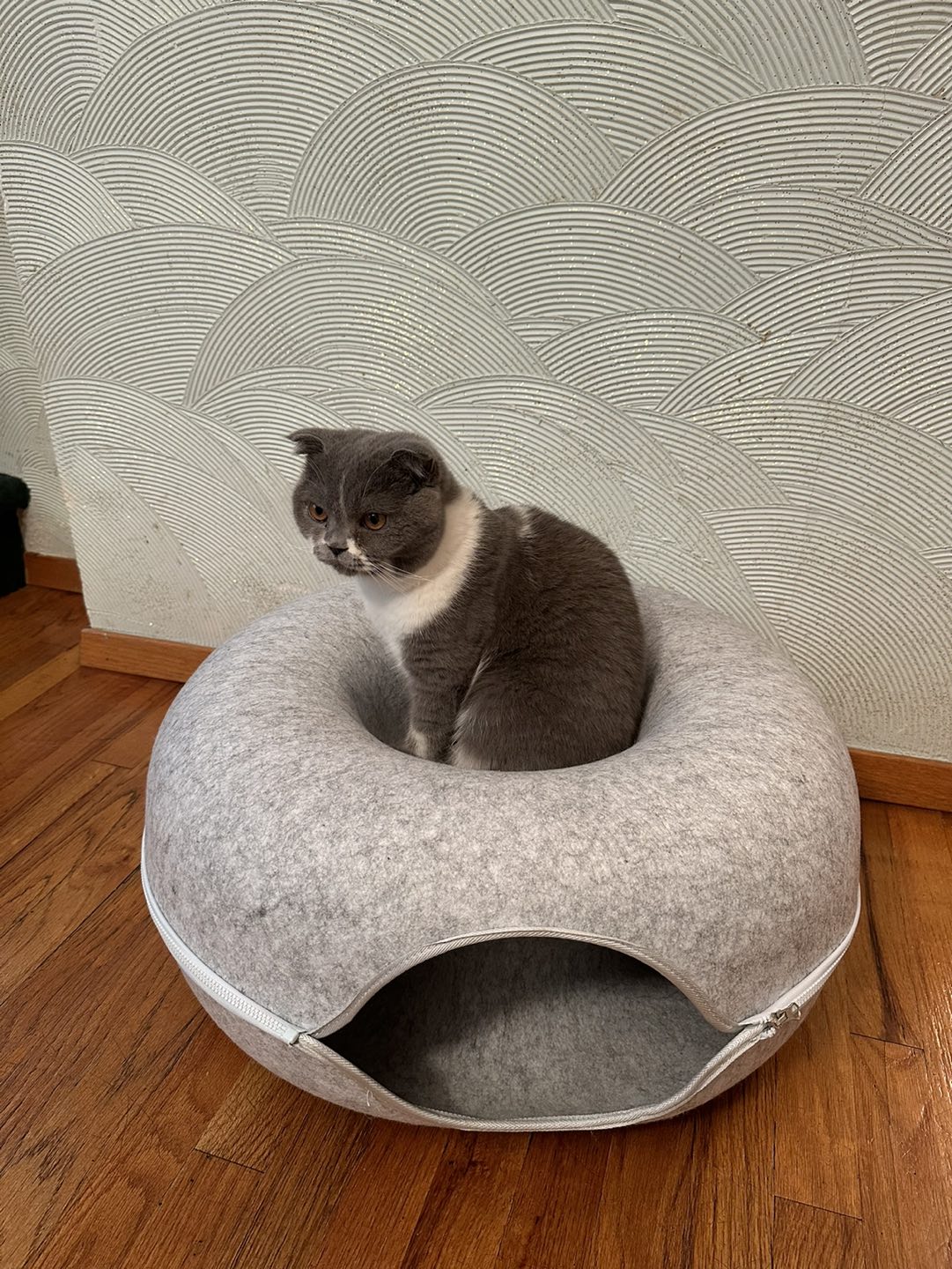 Large Cat Tunnel Bed - 24 inch - photo 3
