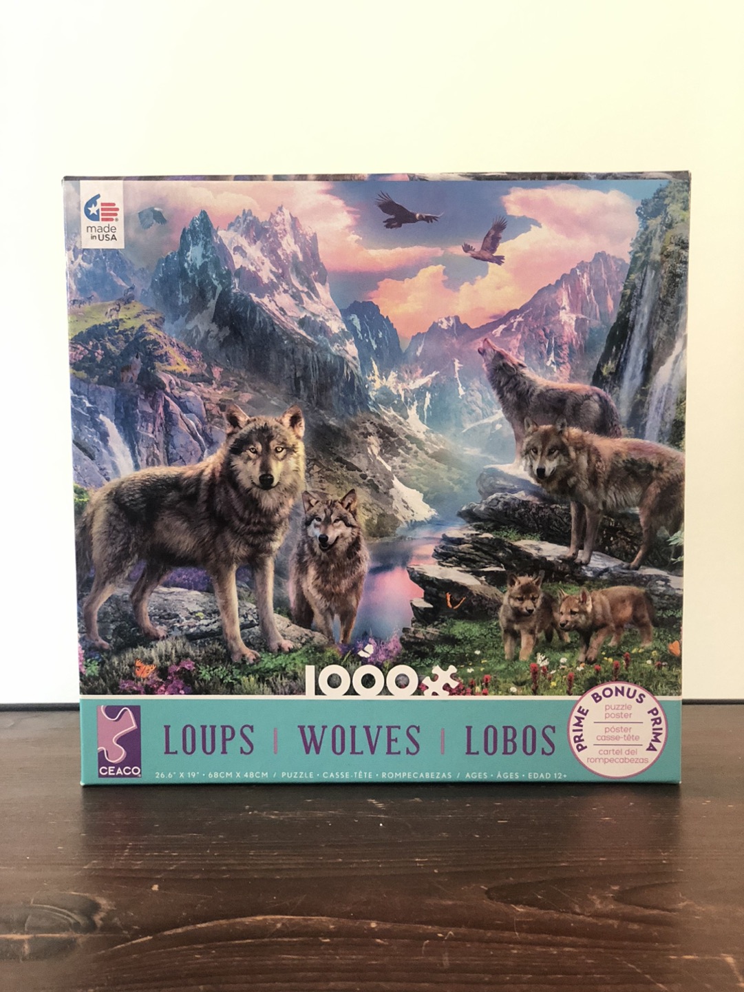 1000 Piece Puzzle thumbnail