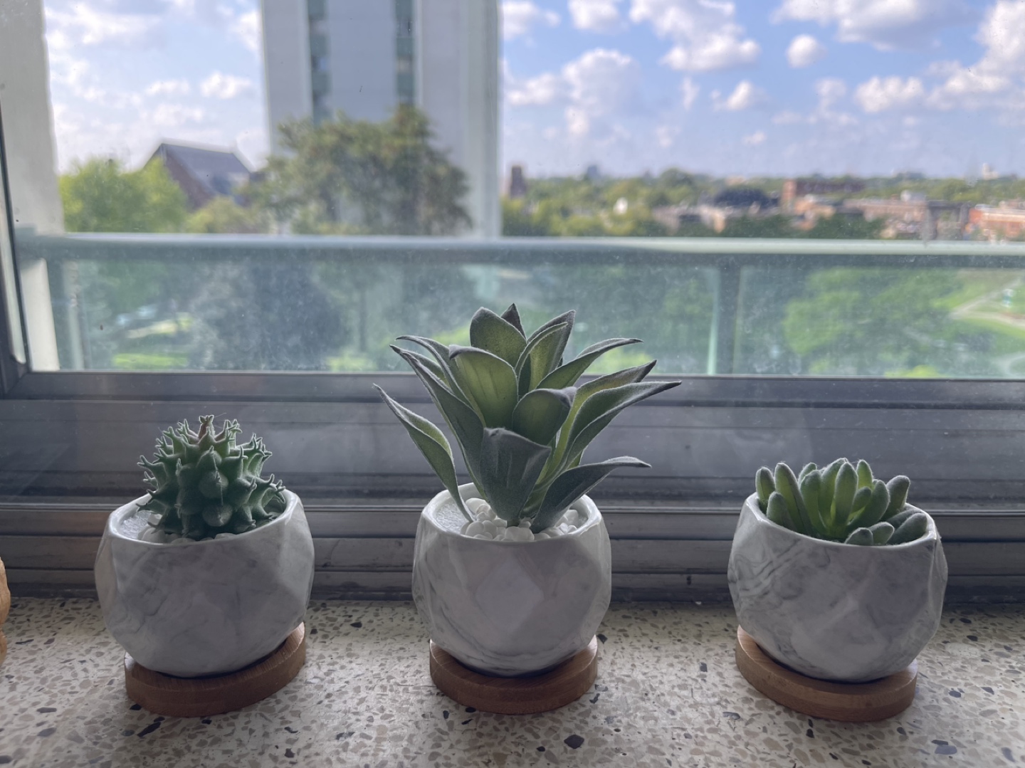 Plant decorations thumbnail