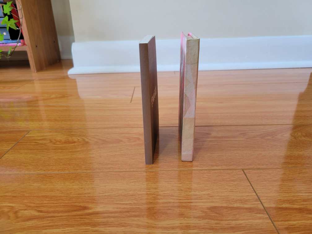 Blank Notebooks - lined and unlined
 image indicator(2)