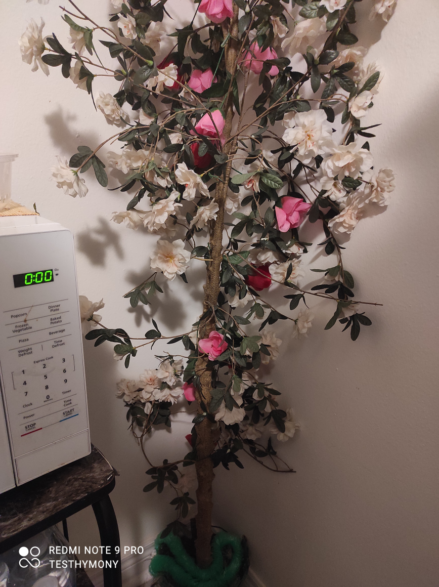 tall tree image indicator(3)