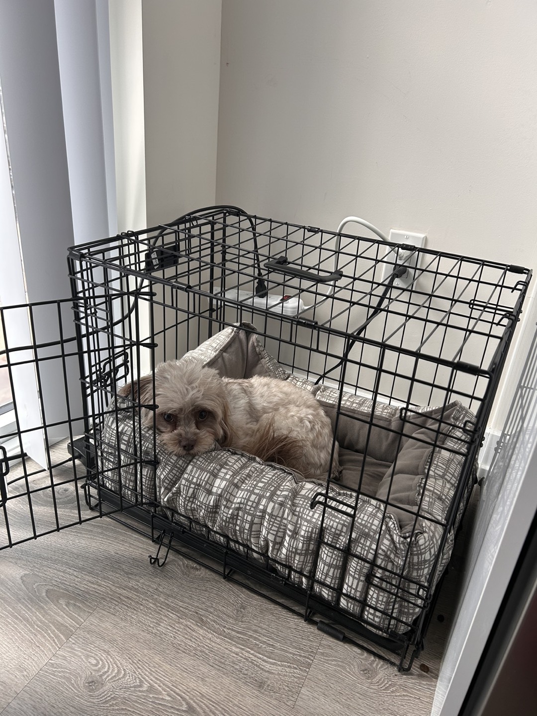 Dog crate (24”x18”x19”) - photo 2