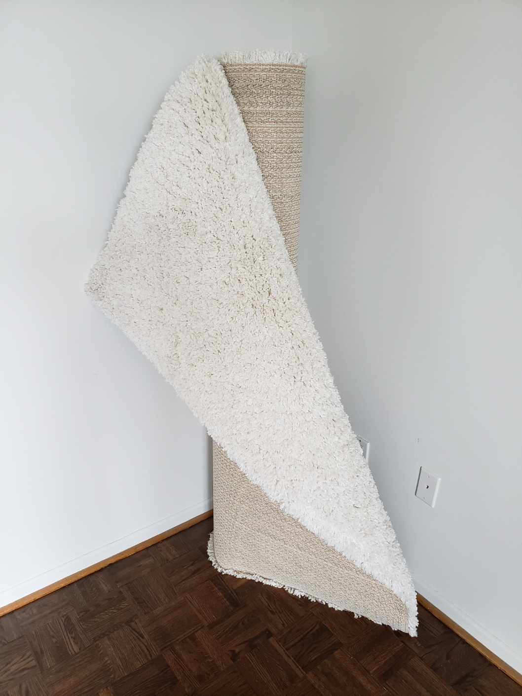 Living room carpet