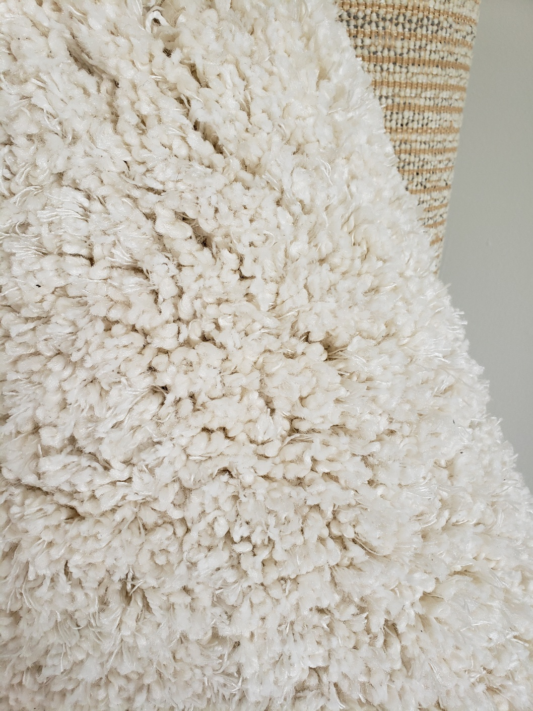 Living room carpet - photo 2