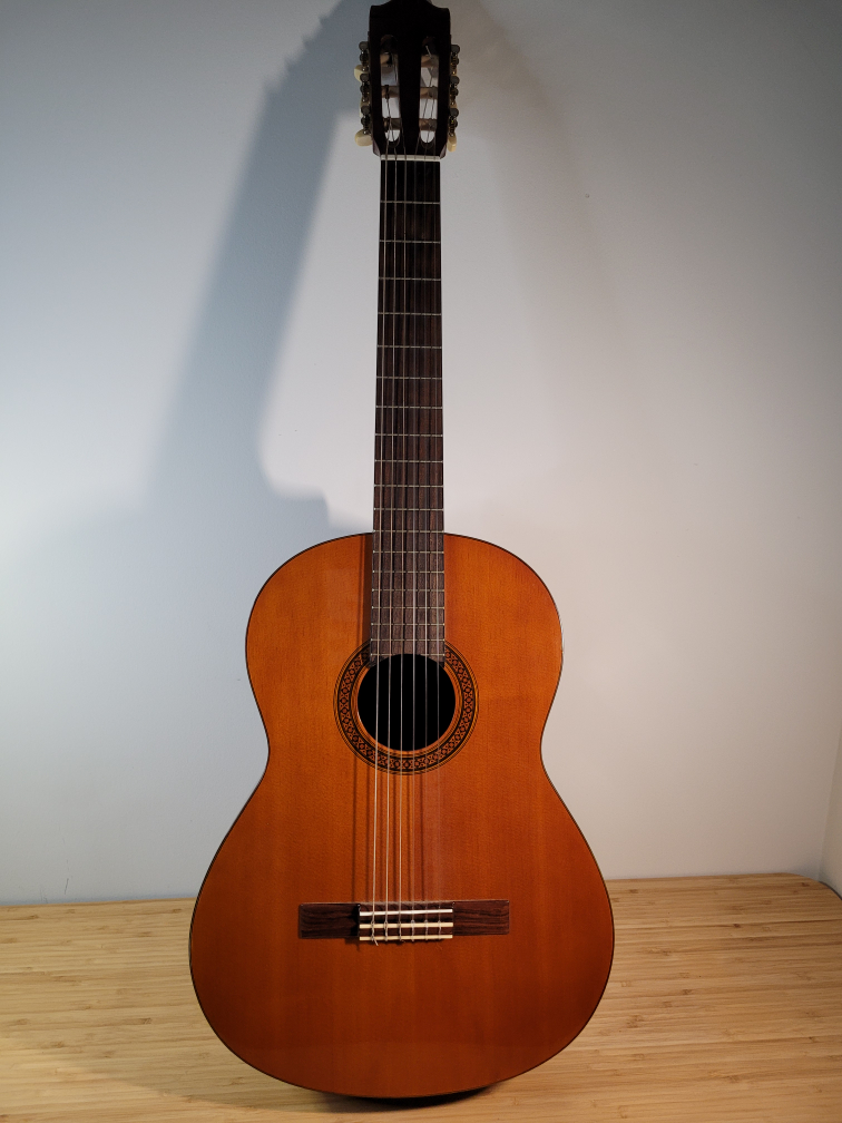 Yamaha SG100SA with case - photo 2