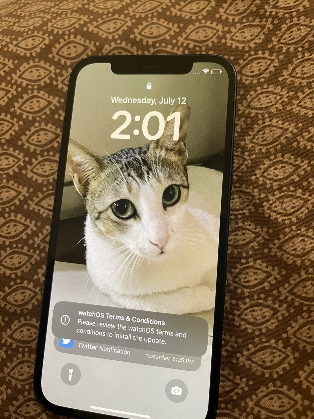 Iphone 12 - photo 5