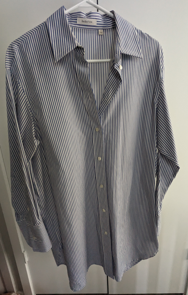 Aritzia Babaton Long Shirt