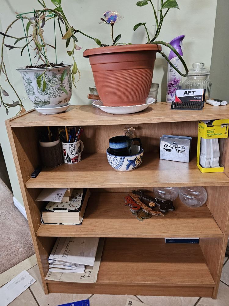 Book shelves 
