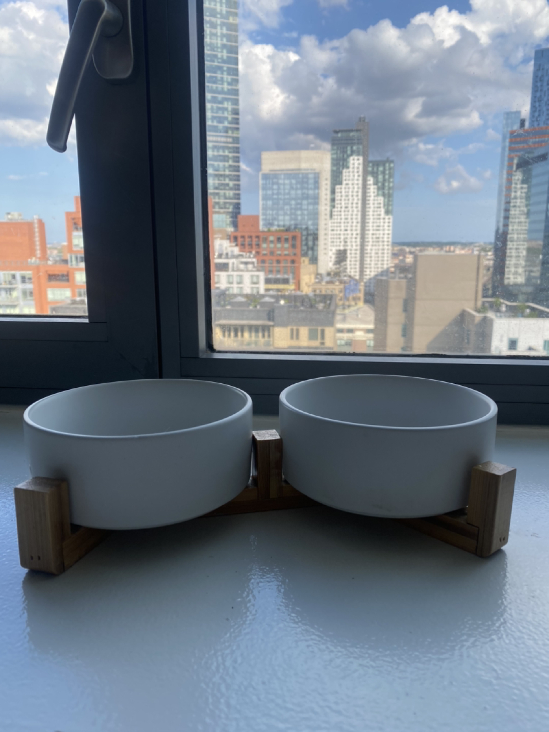 Pet Food Bowls