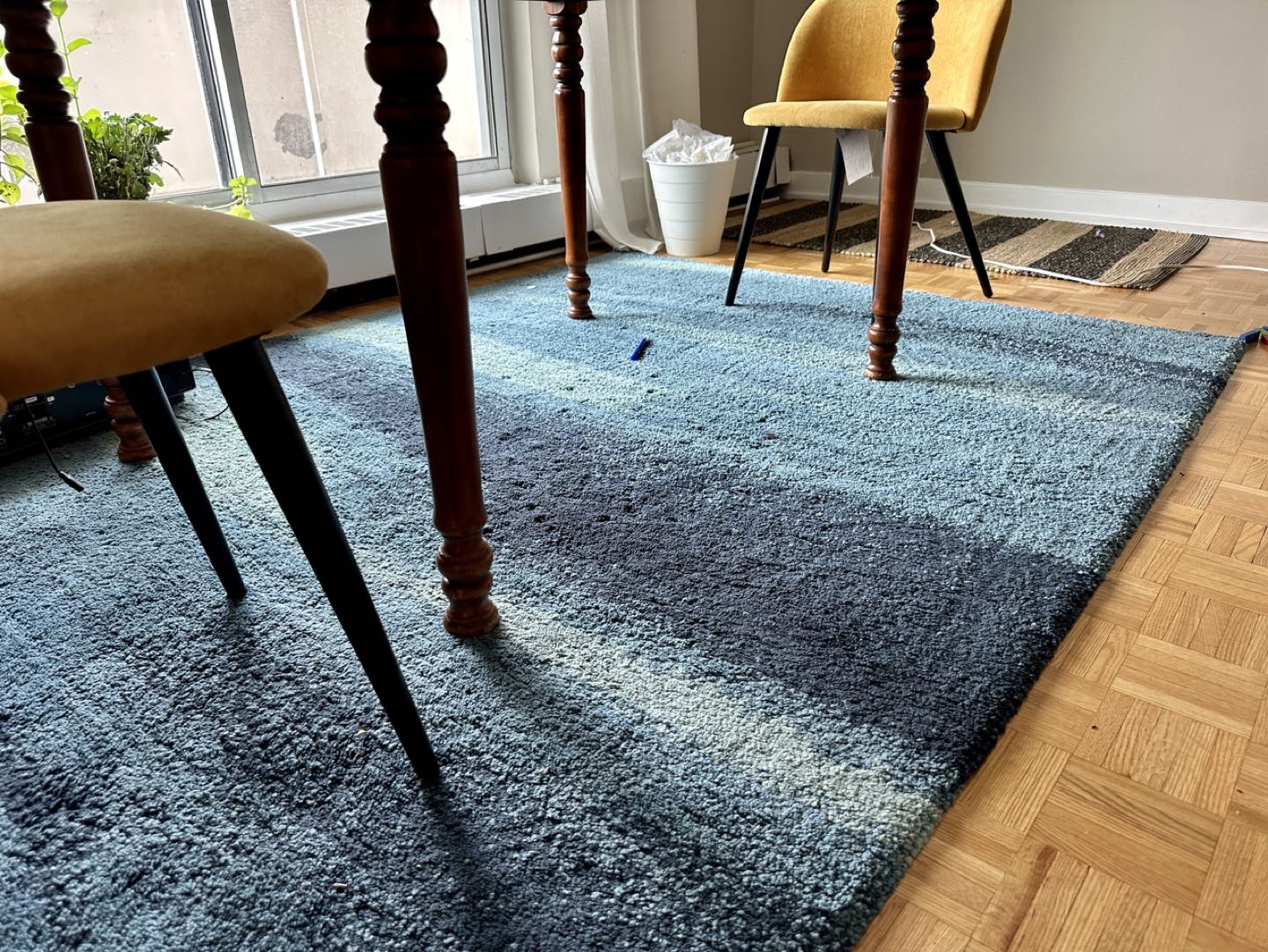 Blue rug