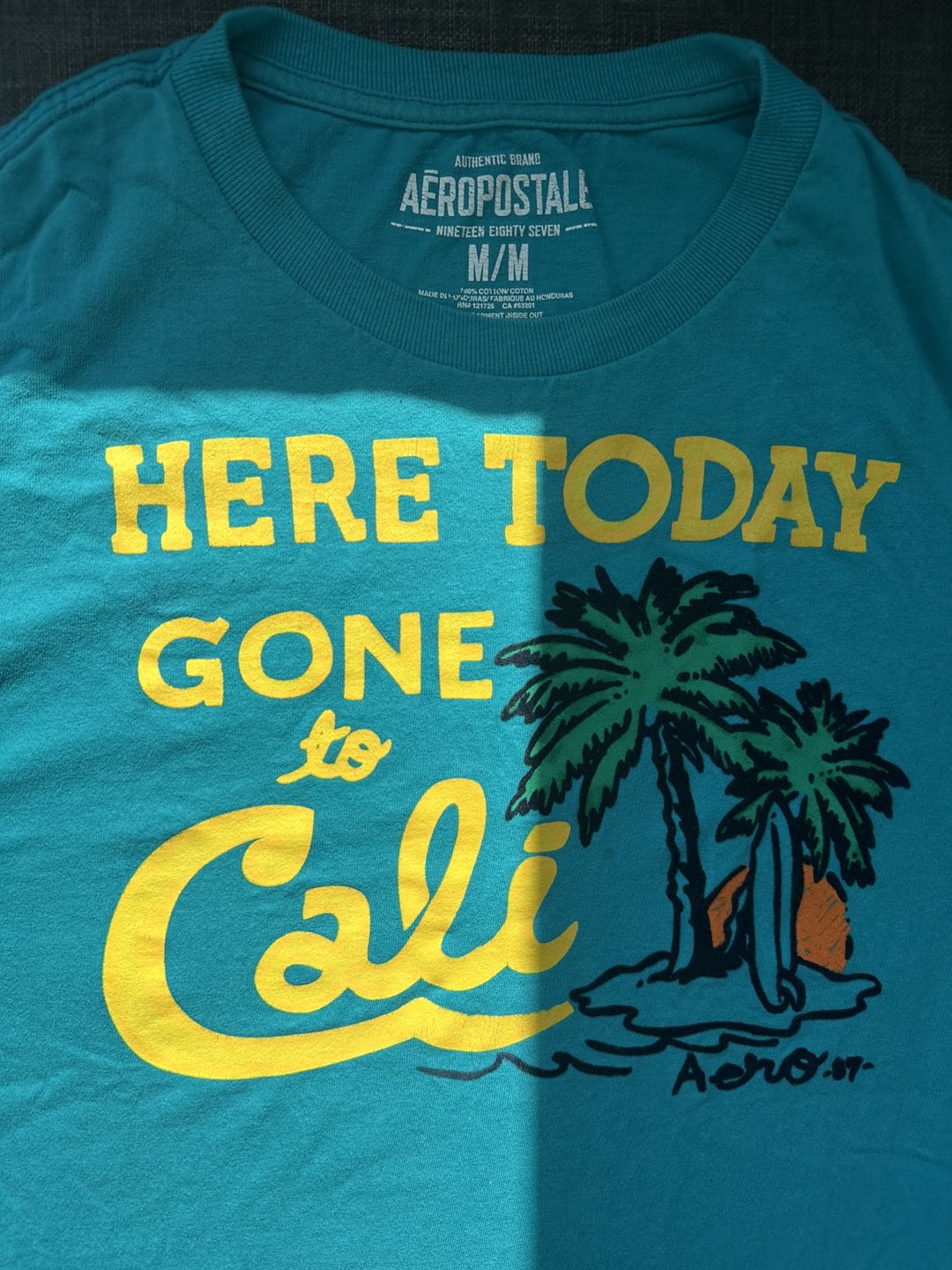 American Eagle Men's Beach Tee-Shirt 🥕 - photo 2